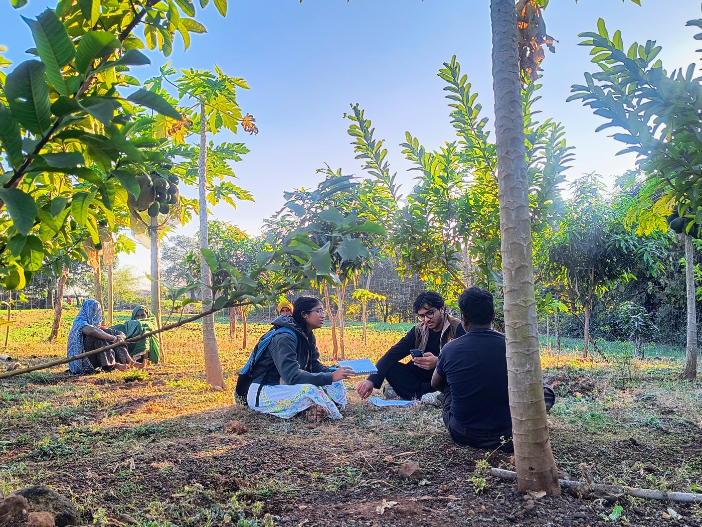 Researchers interviewing farmers in an orchard