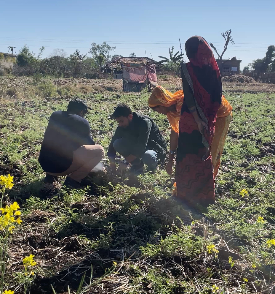 Delta Insights researchers inspecting a crop with women farmers during a field study