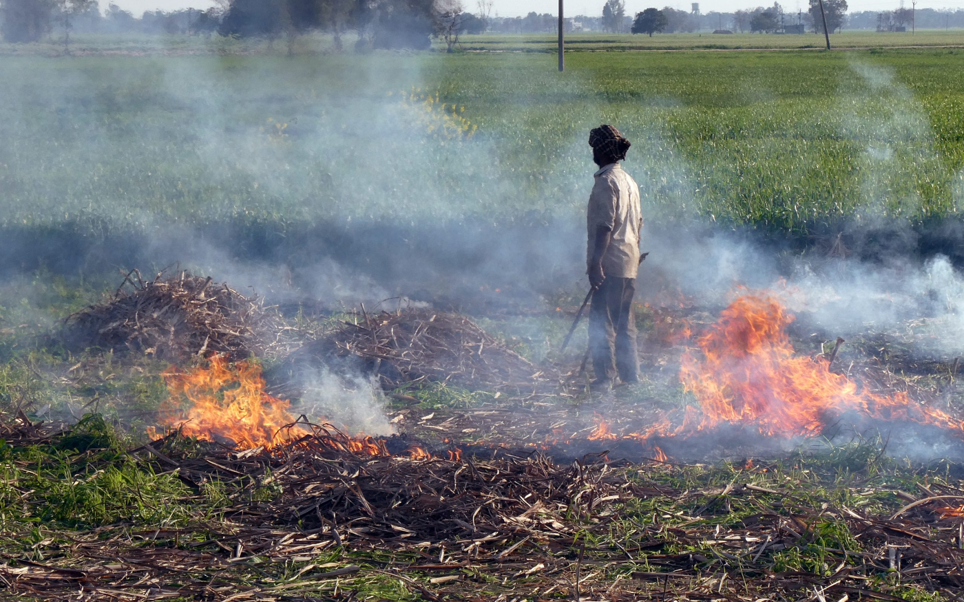 Crop residue burning in a harvested field